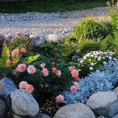 Гостевой дом Возле озера Неро, Ростов Великий, Ярославская область