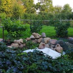 Гостевой дом Возле озера Неро, Ростов Великий, Ярославская область