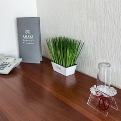 Отель Амакс Конгресс-отель Ростов-на-Дону, Ростов-на-Дону, Ростовская область