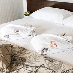 Отель Амакс Конгресс-отель Ростов-на-Дону, Ростов-на-Дону, Ростовская область