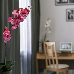 Отель Маринс Парк Отель Ростов-на-Дону, Ростов-на-Дону, Ростовская область