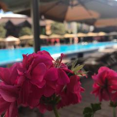 Отель Темерницкий, Ростов-на-Дону, Ростовская область