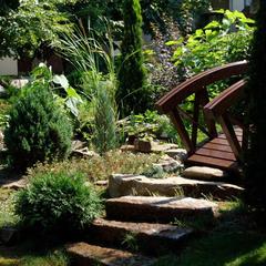 Парк-отель Высокий берег, Ростов-на-Дону, Ростовская область