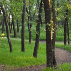 Отель на Зеленой, Ростов-на-Дону, Ростовская область