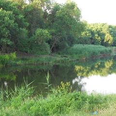 Отель на Зеленой, Ростов-на-Дону, Ростовская область