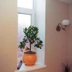 Отель Дон-МаЖор, Ростов-на-Дону, Ростовская область