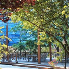 Отель Седьмое небо, Ростов-на-Дону, Ростовская область