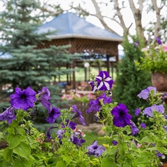 Парк-отель Парк-Отель Донская Роща, Ростов-на-Дону, Ростовская область