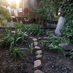 Гостиница Lemon Joe Hotel, Ростов-на-Дону, Ростовская область