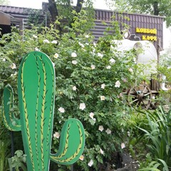 Гостиница Lemon Joe Hotel, Ростов-на-Дону, Ростовская область