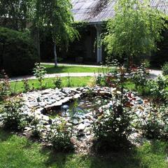 Гостиница Золотой Лев, Ростов-на-Дону, Ростовская область