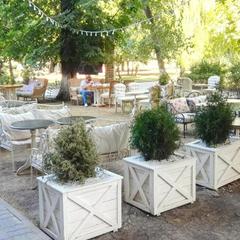 Отель Бутик-Отель Дворянское гнездо, Ростов-на-Дону, Ростовская область