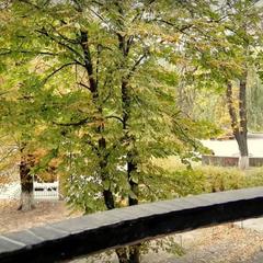 Отель Бутик-Отель Дворянское гнездо, Ростов-на-Дону, Ростовская область