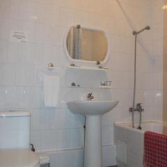 Гостиница Золотой Лев, Ростов-на-Дону, Ростовская область