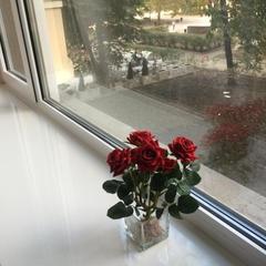 Отель Бутик-Отель Дворянское гнездо, Ростов-на-Дону, Ростовская область