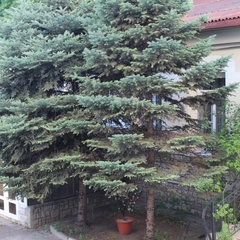 Отель ЧемоданЪ, Ростов-на-Дону, Ростовская область