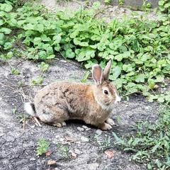 База отдыха Полюс, Ростов-на-Дону, Ростовская область