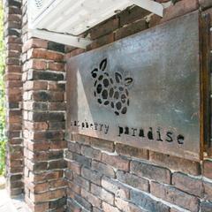 Отель Raspberry Paradise, Ростов-на-Дону, Ростовская область