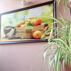 Отель Абрикос, Ростов-на-Дону, Ростовская область