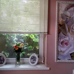 Отель Абрикос, Ростов-на-Дону, Ростовская область