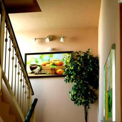 Отель Абрикос, Ростов-на-Дону, Ростовская область