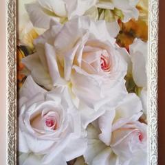 Отель Абрикос, Ростов-на-Дону, Ростовская область