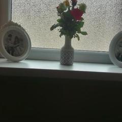 Отель Абрикос, Ростов-на-Дону, Ростовская область