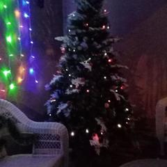 Отель Абрикос, Ростов-на-Дону, Ростовская область