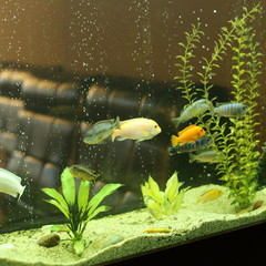 Отель Панчо, Ростов-на-Дону, Ростовская область