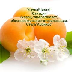 Отель Абрикос, Ростов-на-Дону, Ростовская область