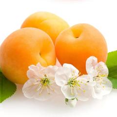 Отель Абрикос, Ростов-на-Дону, Ростовская область