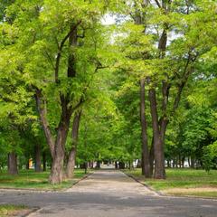 Отель Аэро-Отель, Ростов-на-Дону, Ростовская область