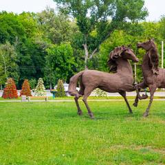 Отель Аэро-Отель, Ростов-на-Дону, Ростовская область