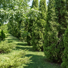 Отель Голубое Озеро, Ростов-на-Дону, Ростовская область