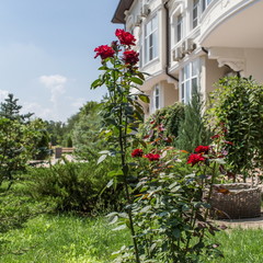 Отель Голубое Озеро, Ростов-на-Дону, Ростовская область