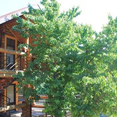 Отель Шале Ростов, Ростов-на-Дону, Ростовская область