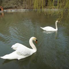 Отель Каньон, Ростов-на-Дону, Ростовская область