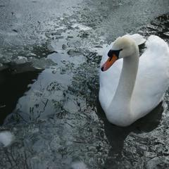 Отель Каньон, Ростов-на-Дону, Ростовская область