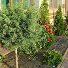 Отель Tesoro, Ростов-на-Дону, Ростовская область