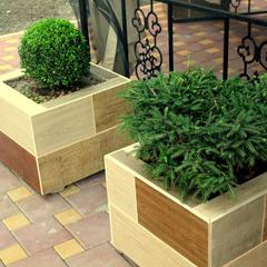 Отель Tesoro, Ростов-на-Дону, Ростовская область