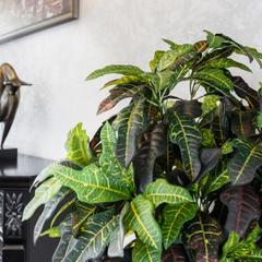 Отель Толедо, Ростов-на-Дону, Ростовская область