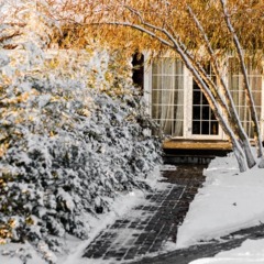 Загородный клуб Ближняя дача, Ростов-на-Дону, Ростовская область