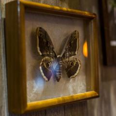 Отель Честный Чехов, Ростов-на-Дону, Ростовская область