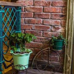 Отель Честный Чехов, Ростов-на-Дону, Ростовская область