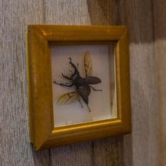 Отель Честный Чехов, Ростов-на-Дону, Ростовская область