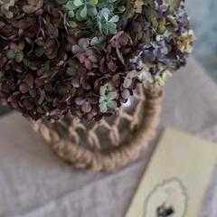 Отель Честный Чехов, Ростов-на-Дону, Ростовская область