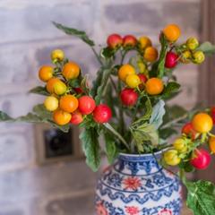 Отель Честный Чехов, Ростов-на-Дону, Ростовская область