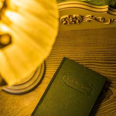 Отель Честный Чехов, Ростов-на-Дону, Ростовская область