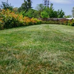 Гостиница Империал, Ростов-на-Дону, Ростовская область