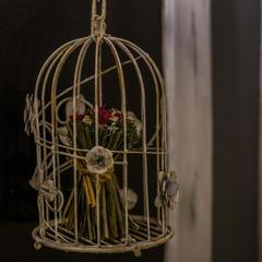 Отель Честный Чехов, Ростов-на-Дону, Ростовская область